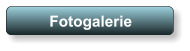 Fotogalerie