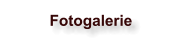 Fotogalerie
